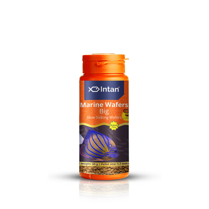 Intan Marine Wafers Big Fish Food - 65g | Ornamental Fish Food