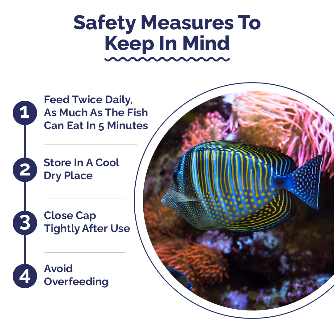Safety measures for fish care with a circular inset showing fishes in an aquarium.