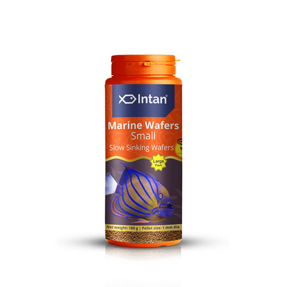 Intan Marine Wafers Small Fish Food - 180g