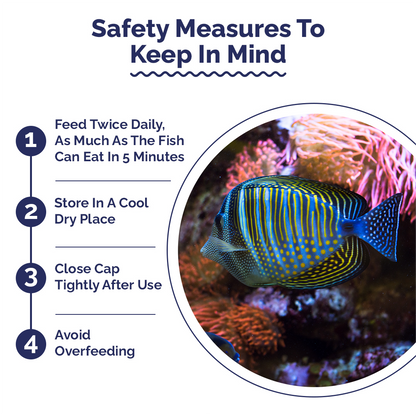 Safety measures for fish care with a circular inset showing fishes in an aquarium.