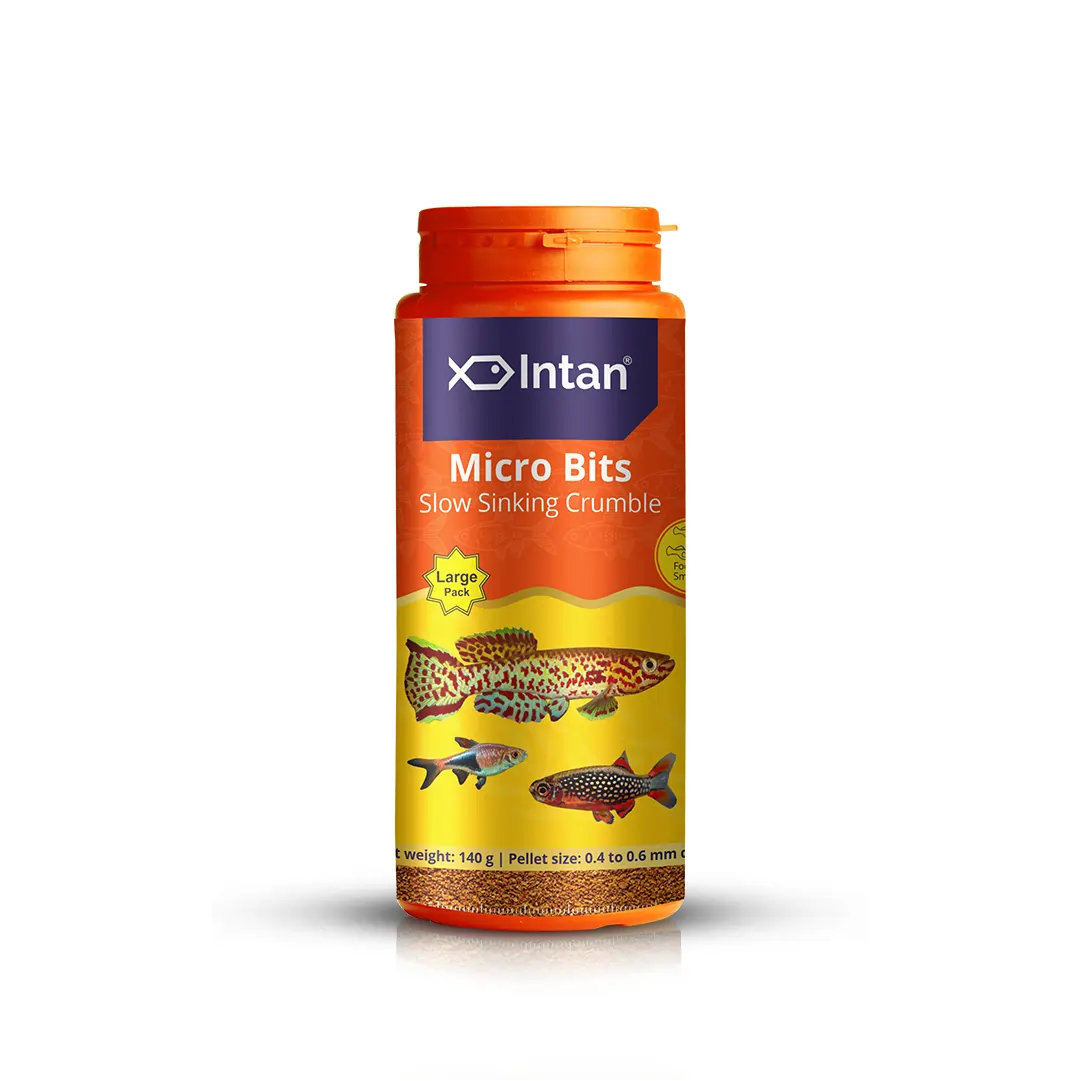 Intan Micro Bits - Slow Sinking Fish Food | Crumble