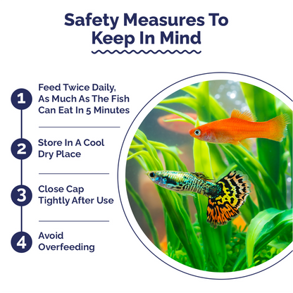 Safety measures for fish care with a circular inset showing Fishes in an aquarium.