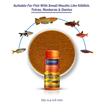 Intan Guppy Pellets Fish Food - Suitable Food for Tetra, Rasboras & Danios