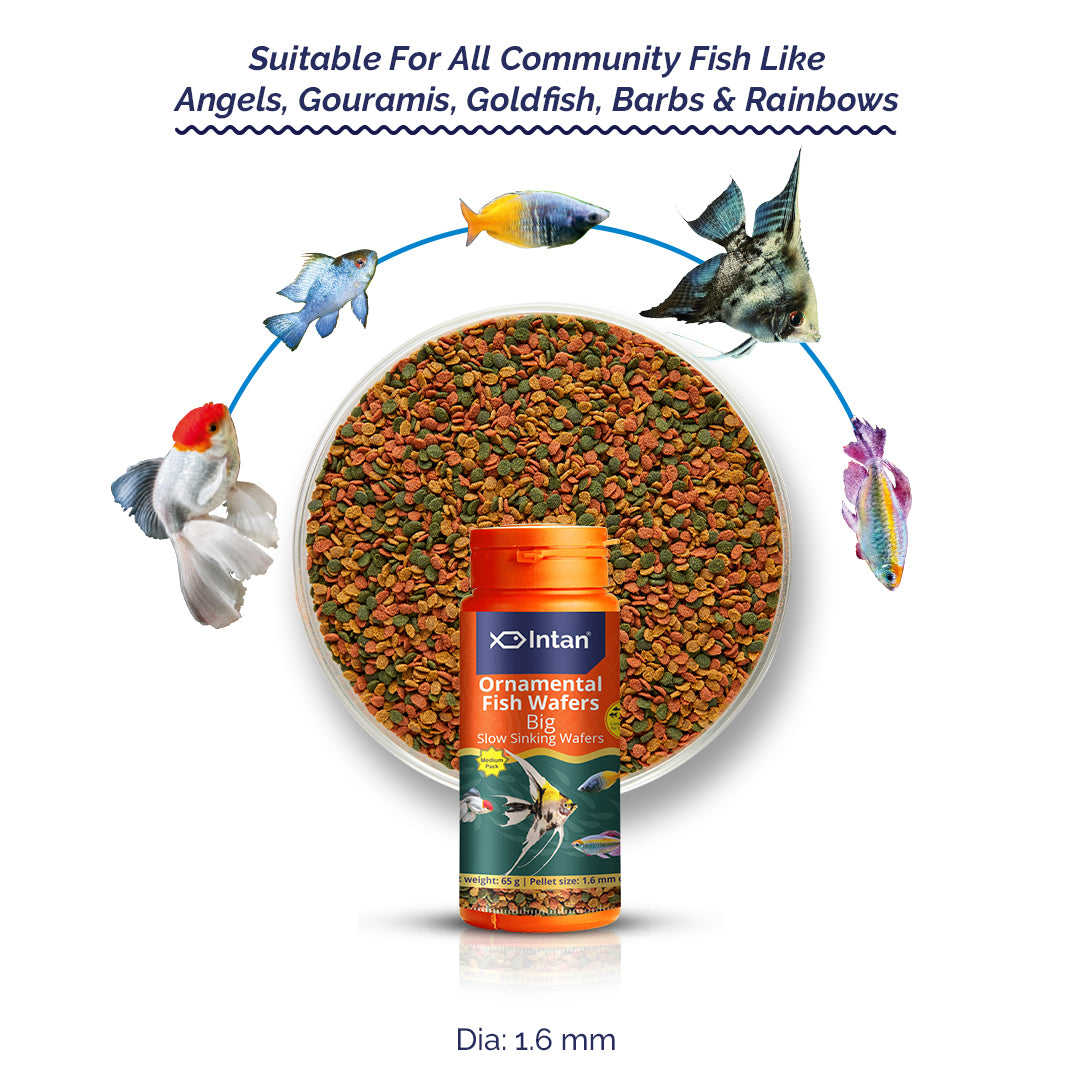 Intan Ornamental Fish Wafers - Big | Slow Sinking Fish Food