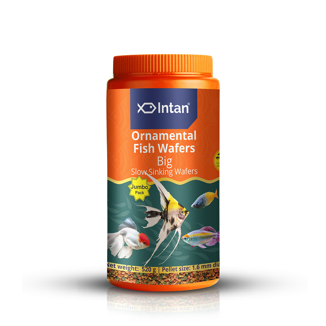 Growel Intan Ornamental Fish Wafers (Big) | Nutritious Fish Food