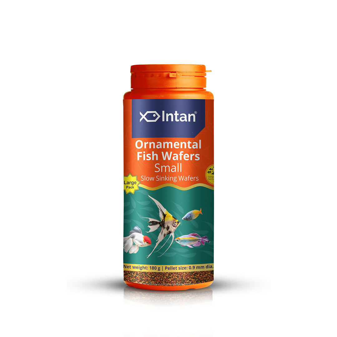 Growel Intan Ornamental Fish Wafers (Small) | Nutritious Fish Food