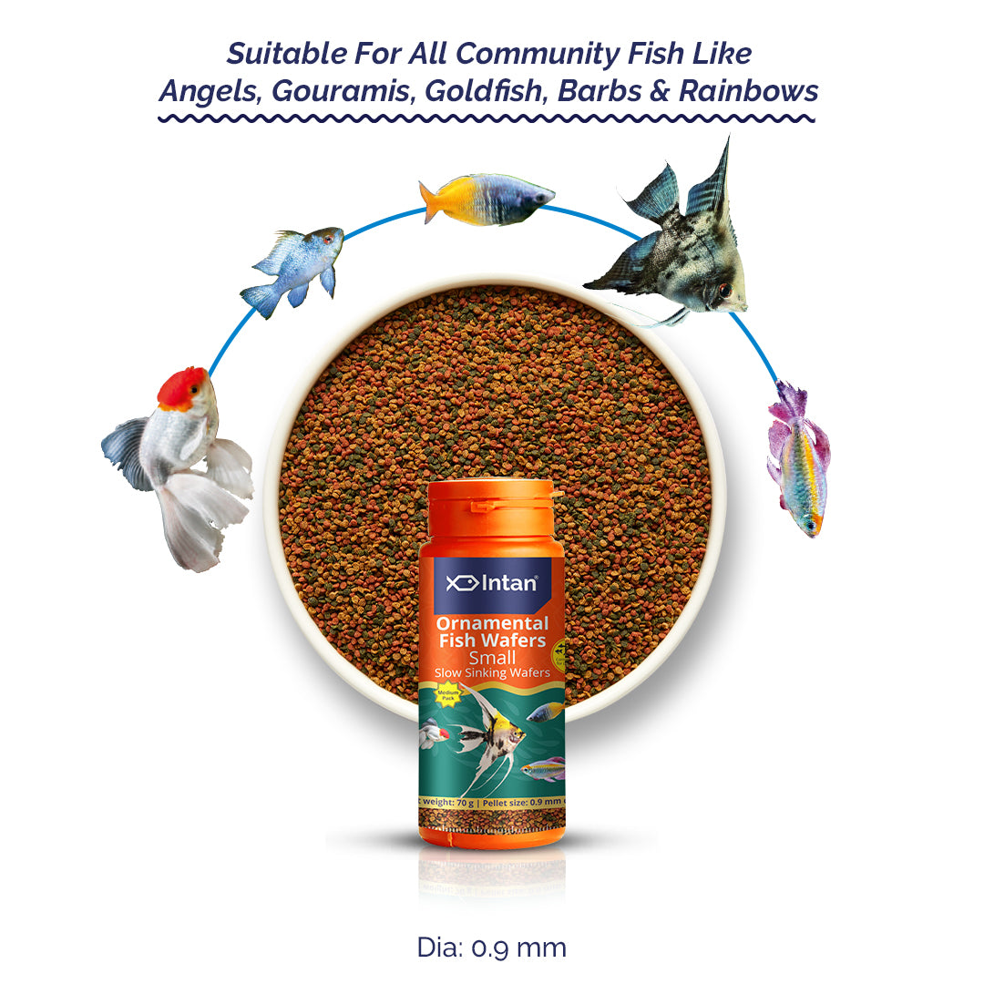 Intan Ornamental Fish Wafers - Small | Slow Sinking Fish Food