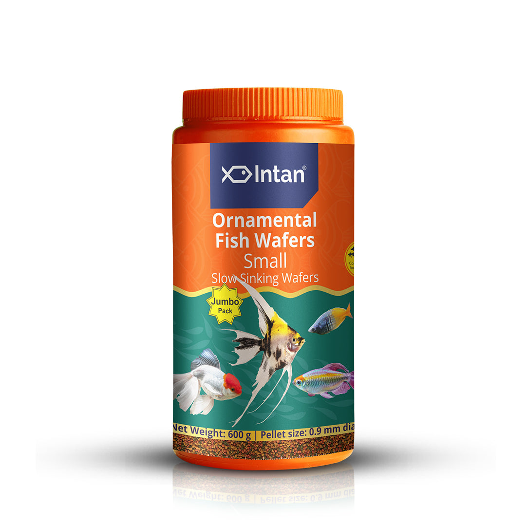 Growel Intan Ornamental Fish Wafers (Small) | Nutritious Fish Food