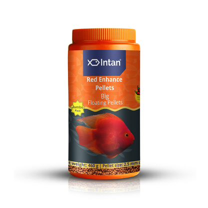 Intan Red Enhance Pellets Big Fish Food - 460g