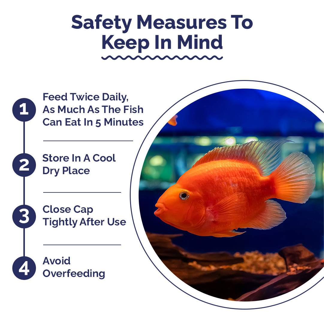 Safety measures for fish care with a circular inset showing fishes in an aquarium.