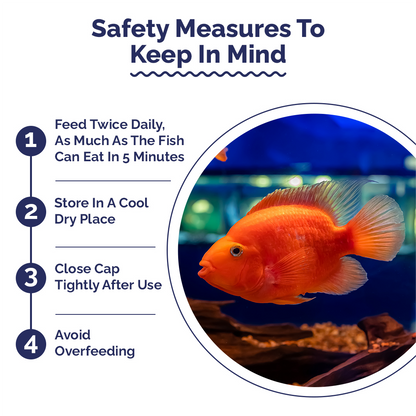 Safety measures for fish care with a circular inset showing fishes in an aquarium.