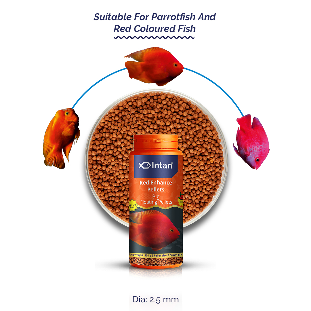 Intan Red Enhance Pellets - Big | Floating Fish Food