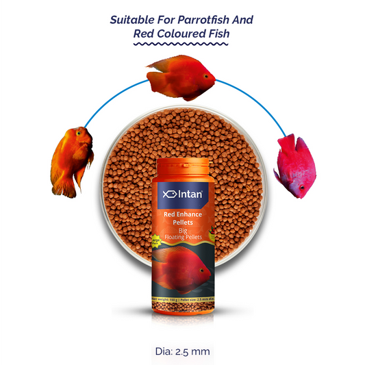Intan Red Enhance Pellets Big Fish Food - Suitable Food for Parrotfish and Red Coloured Fish