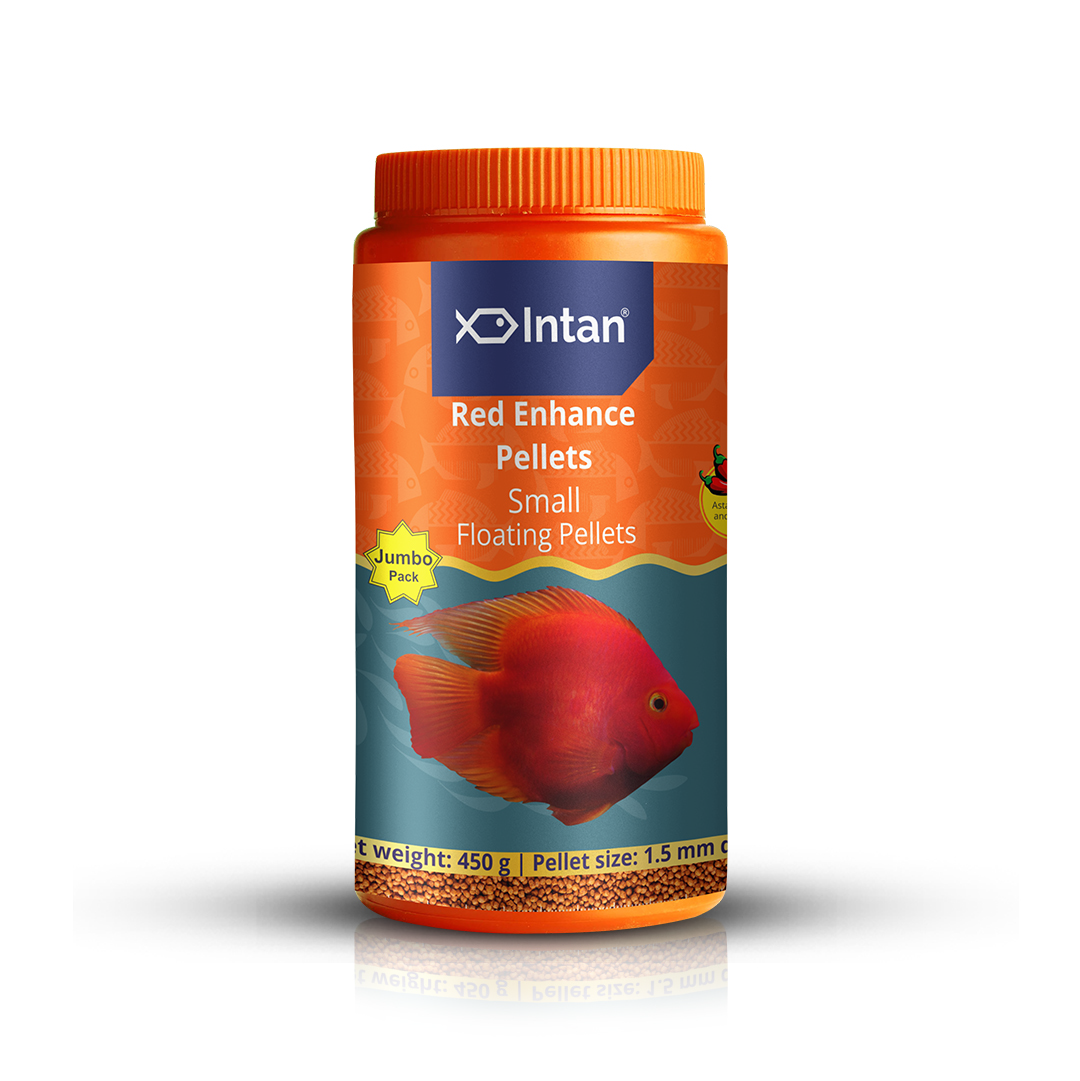 Intan Red Enhance Pellets Small Fish Food - 450g