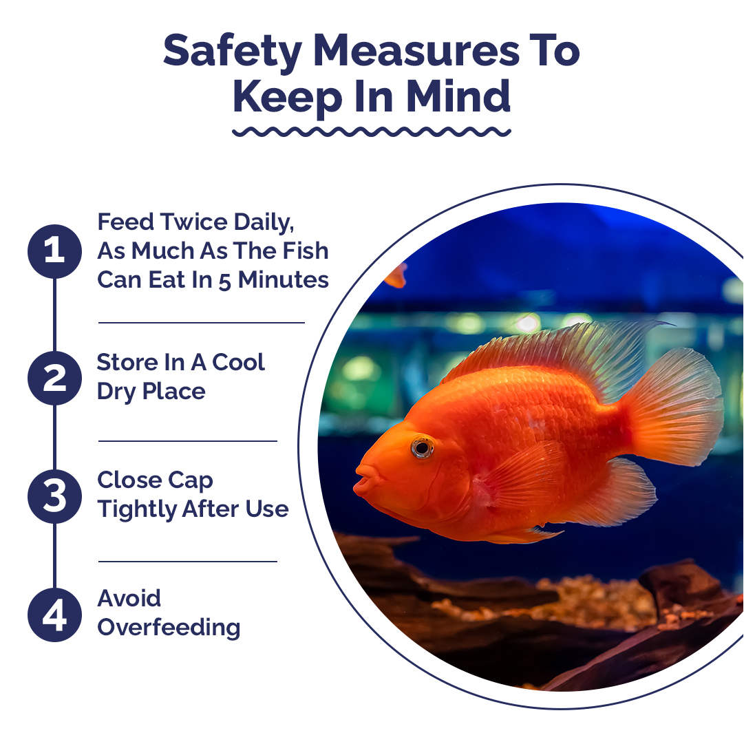 Safety measures for fish care with a circular inset showing fishes in an aquarium.