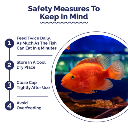 Safety measures for fish care with a circular inset showing fishes in an aquarium.