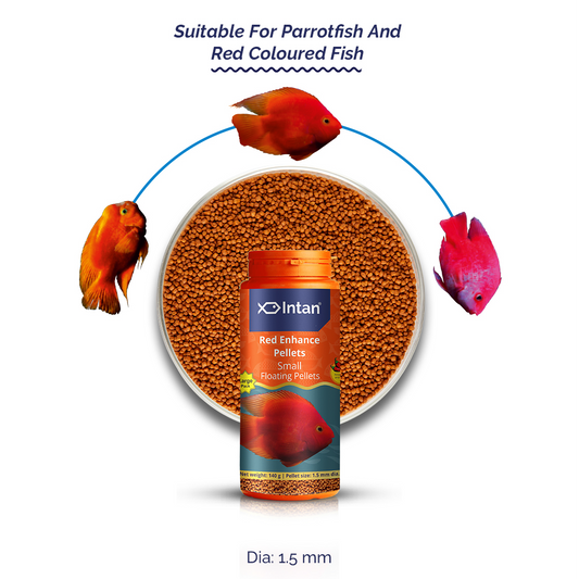 Intan Red Enhance Pellets Small Fish Food - Suitable Food for Parrotfish and Red Coloured Fish