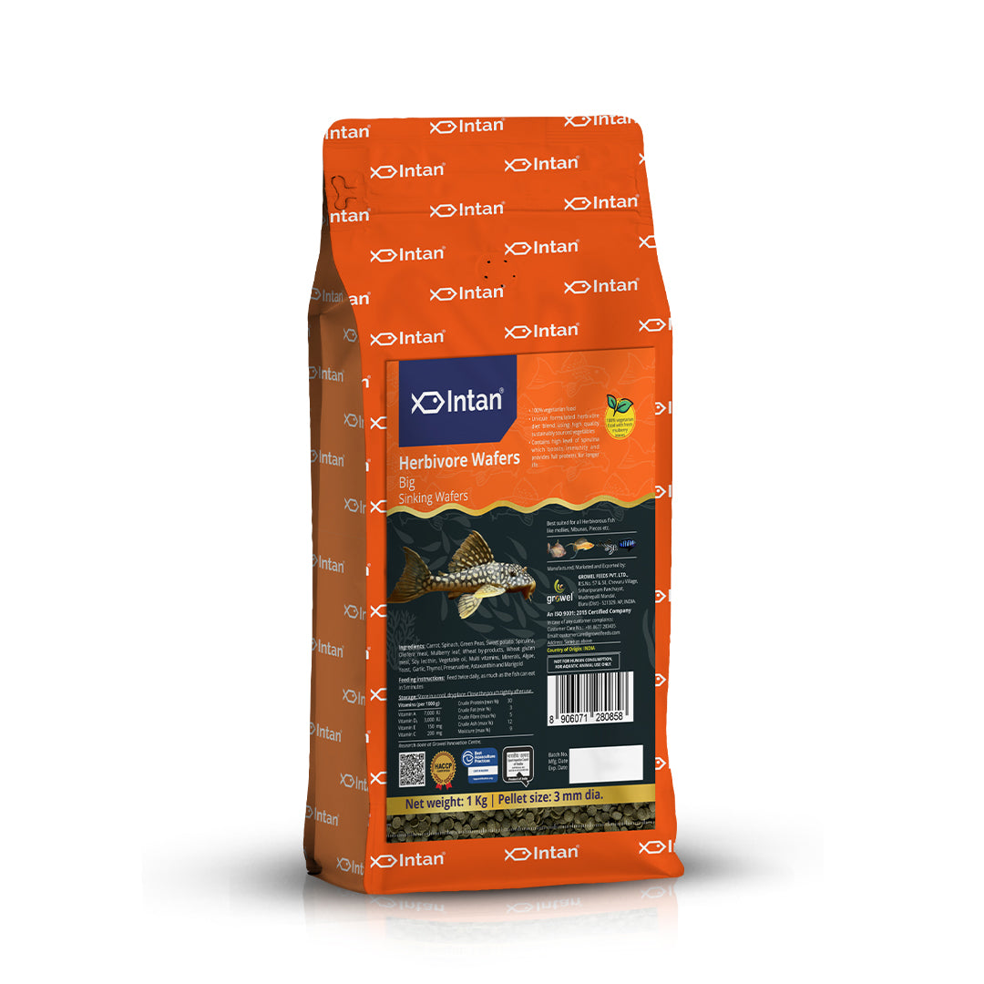 Growel Intan Herbivore Wafers (Big) | Ornamental Fish Food