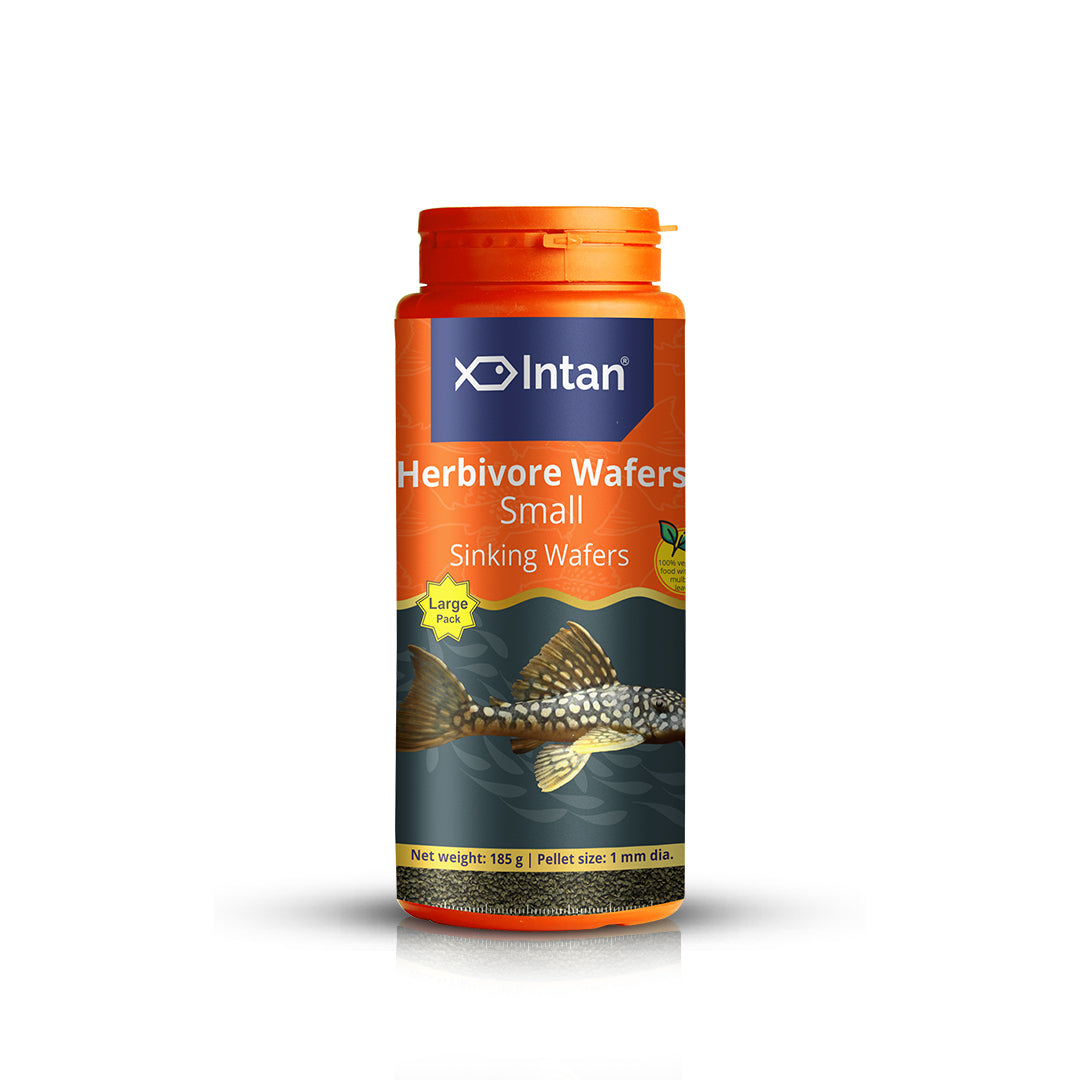 Growel Intan Herbivore Wafers (Small) | Ornamental Fish Food