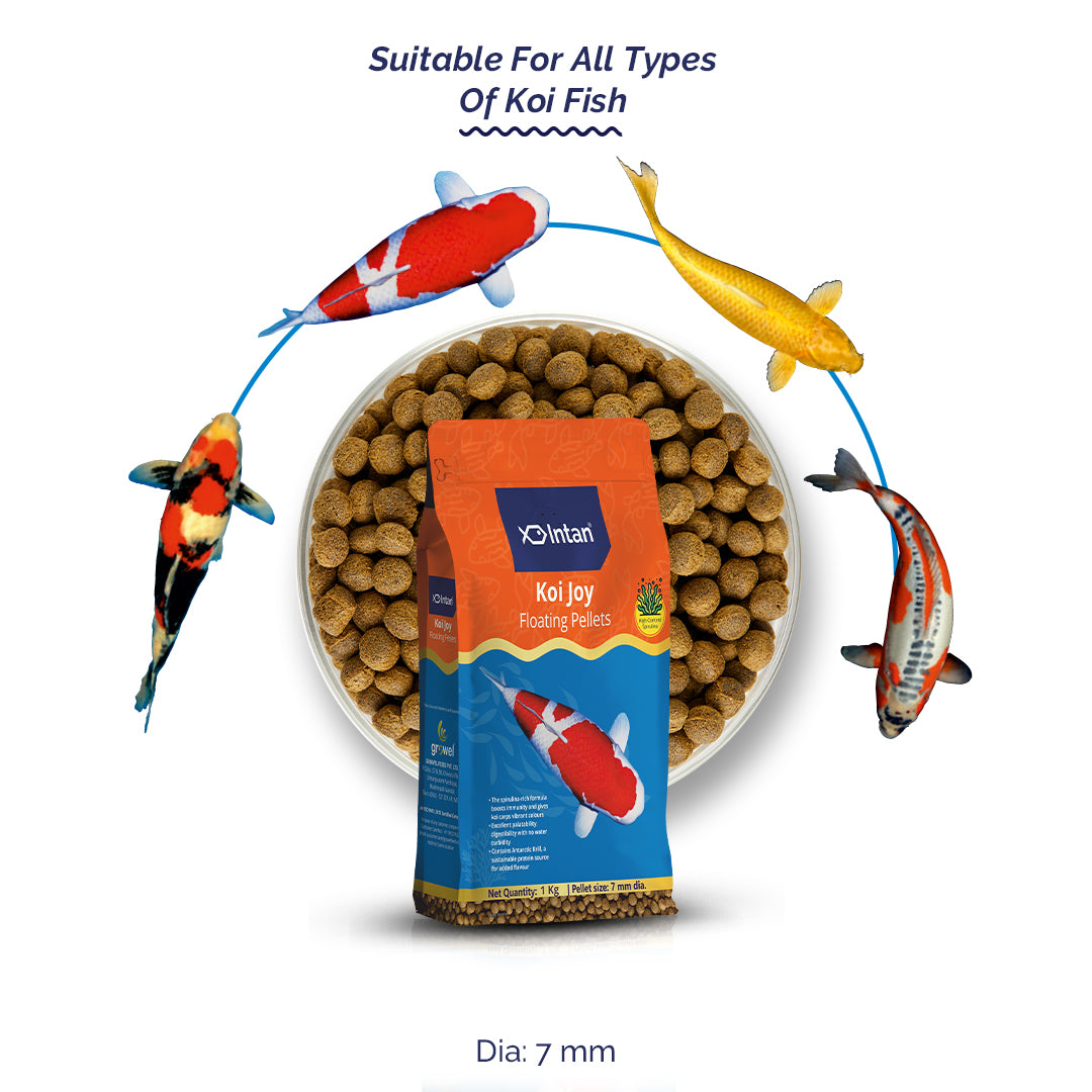 Intan Koi Joy Pellets - Floating Fish Food