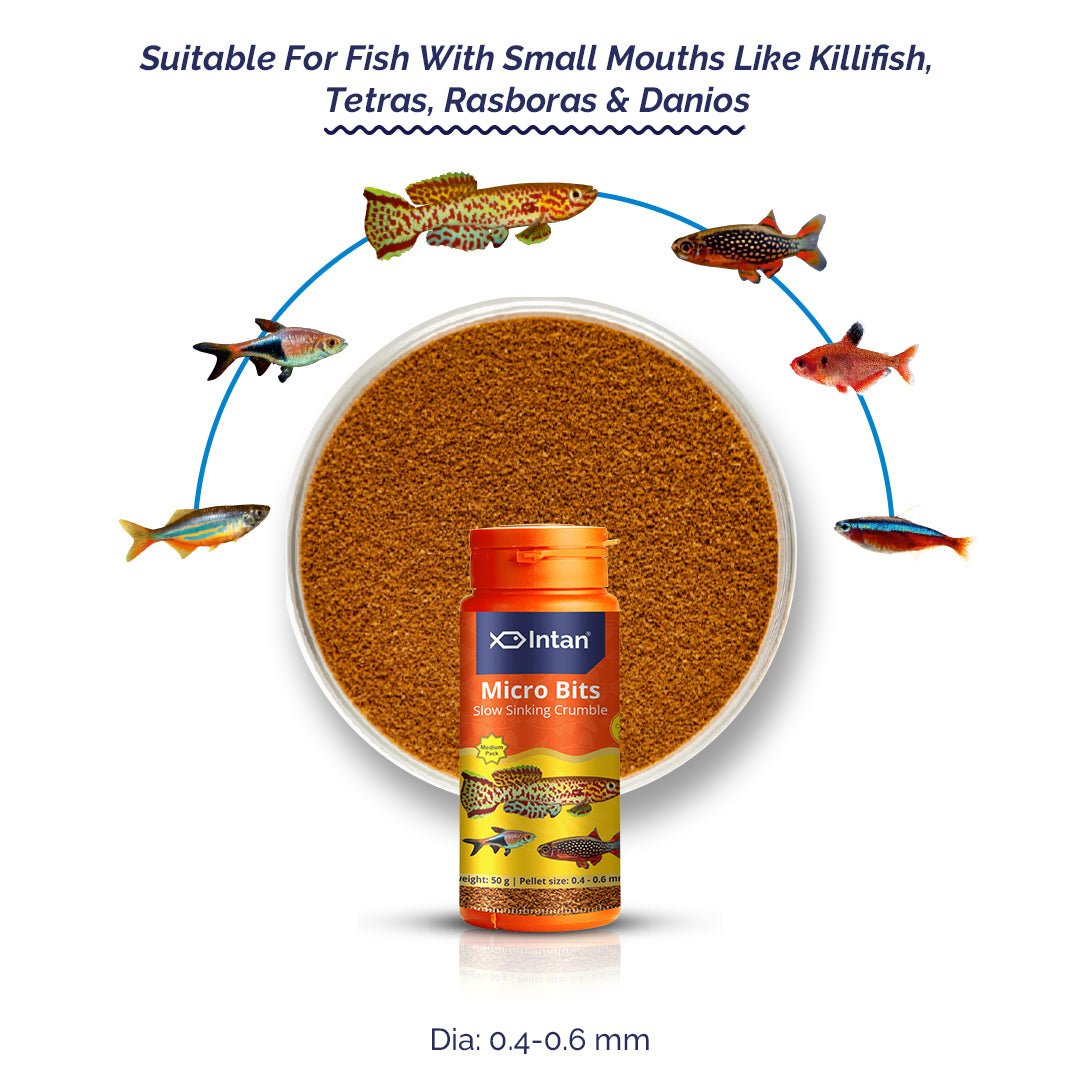 Growel Intan Micro Bits | Highly Nutritious Ornamental Fish Food