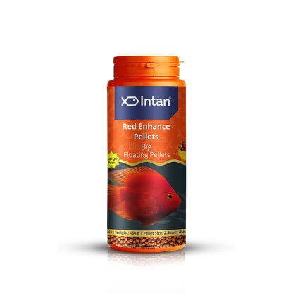 Growel Intan Red Enhance Pellets (Big) | Ornamental Fish Food