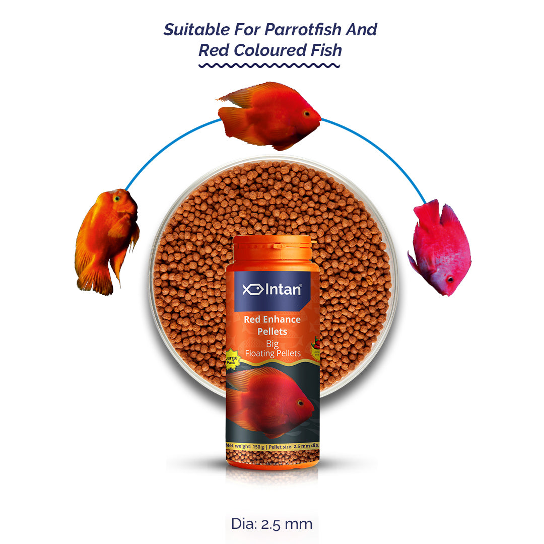 Growel Intan Red Enhance Pellets (Big) | Ornamental Fish Food