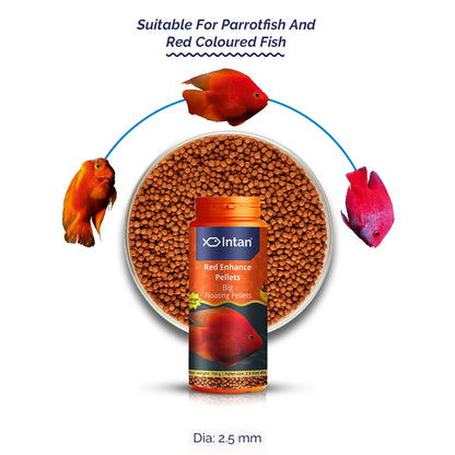 Growel Intan Red Enhance Pellets (Big) | Ornamental Fish Food