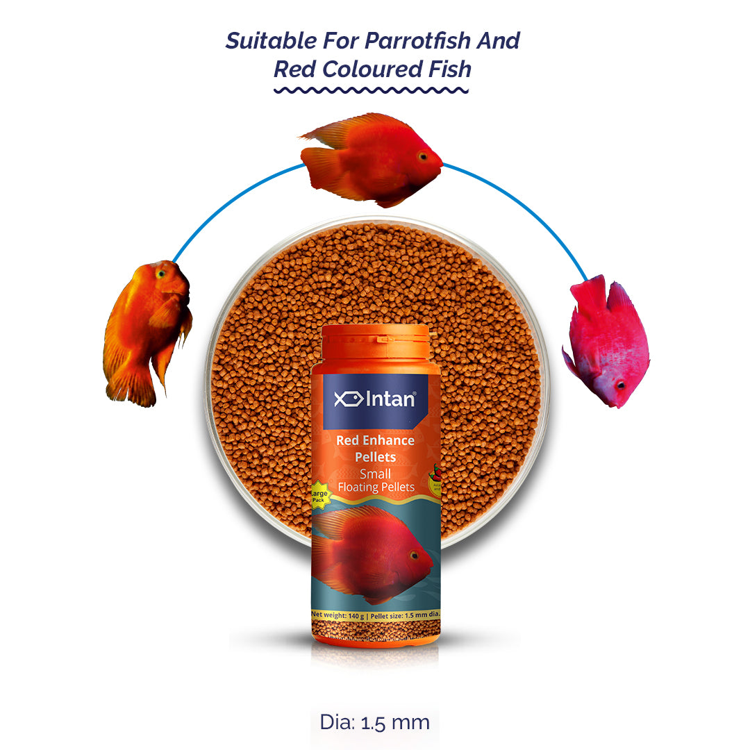 Growel Intan Red Enhance Pellets (Small) | Ornamental Fish Food