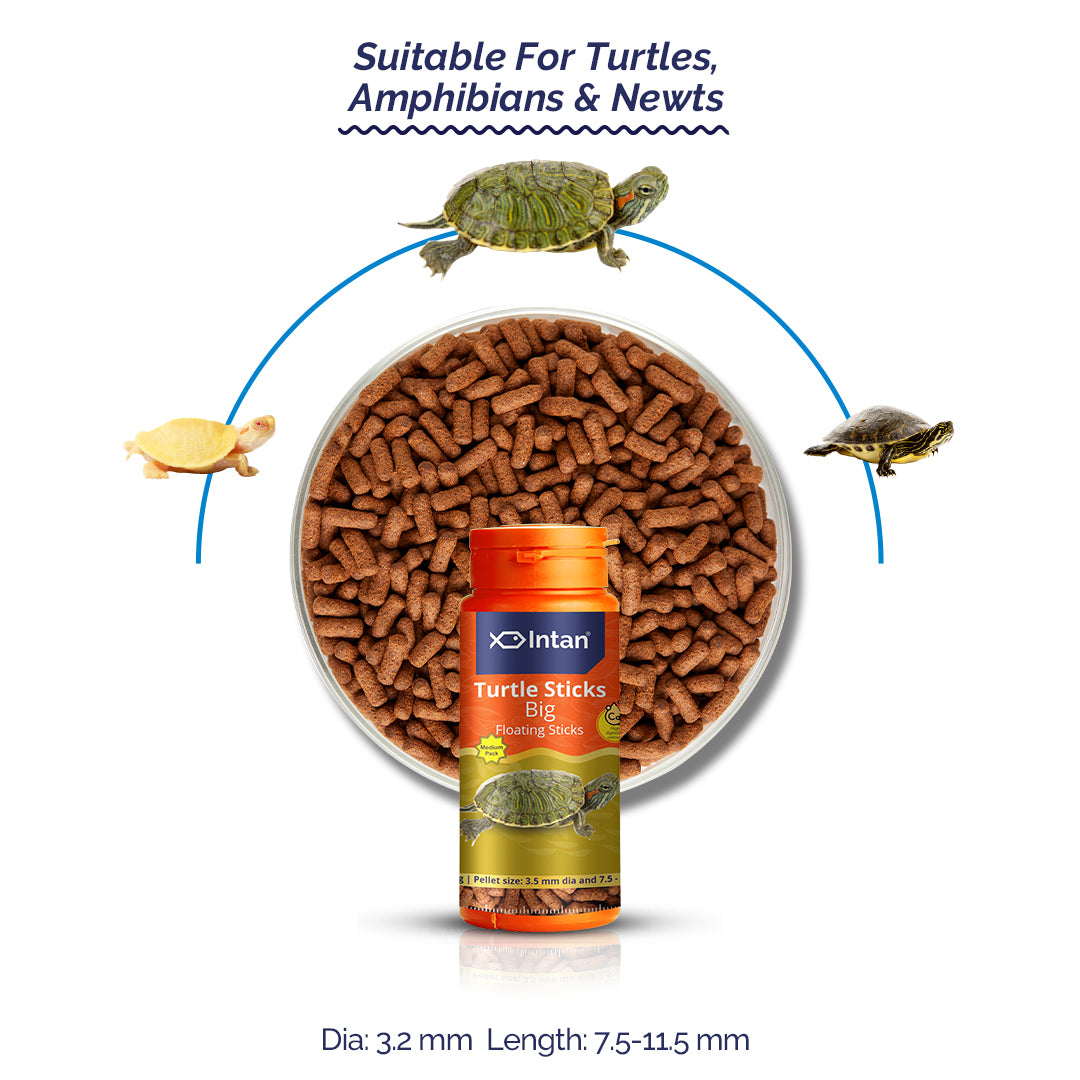 Growel Intan Turtle Sticks (Big) | Nutritious Ornamental Fish Food