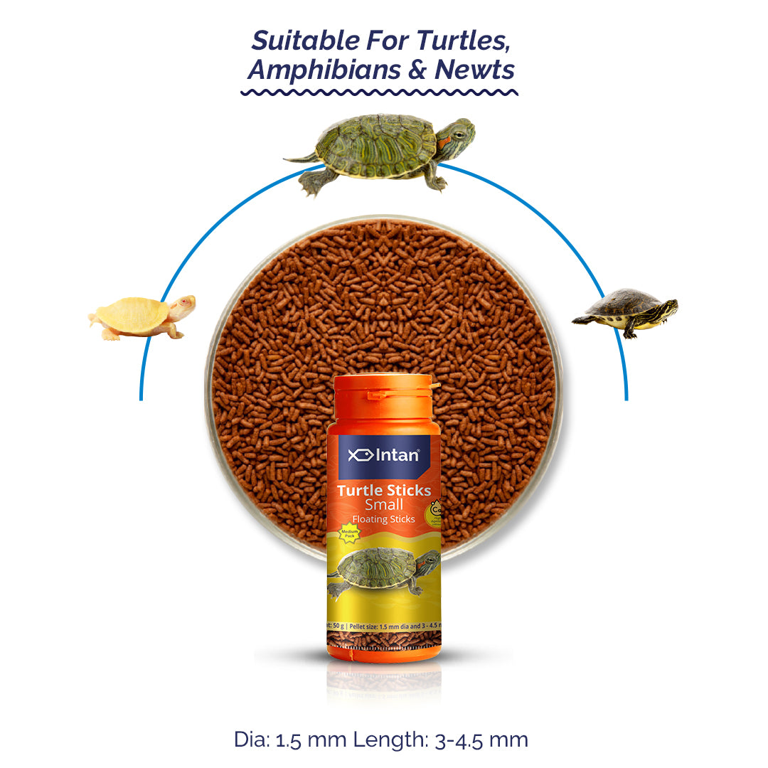 Intan Turtle Sticks - Small | Floating Turtle Food