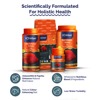 Intan Red Enhance Pellets Big Fish Food packaging with products and Benefits
