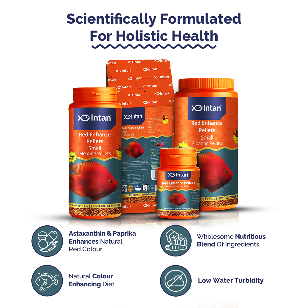 Intan Red Enhance Pellets Small Fish Food packaging with products and Benefits