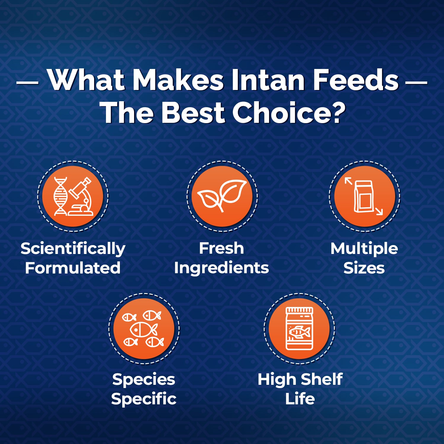 Intan Ornamental Fish Food, Fish feed unique selling points such a scientifically formulated, fresh ingredients, multiple sizes, species specific, high shelf life