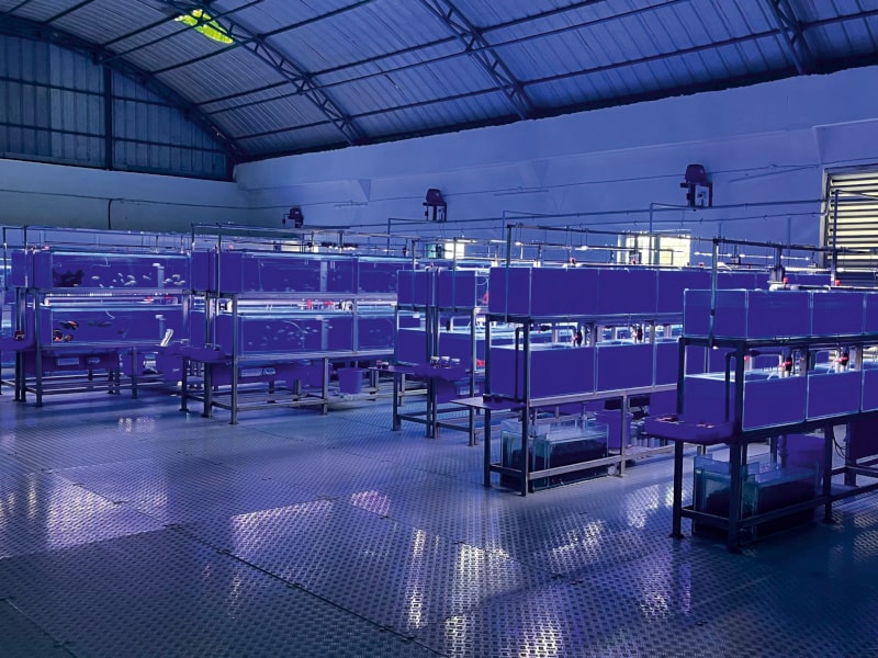 Growel Intan Ornamental Fish Food, Fish feed research and development center